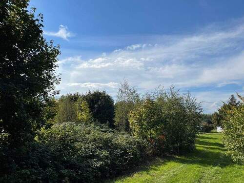 Weg an der Nordseite - 