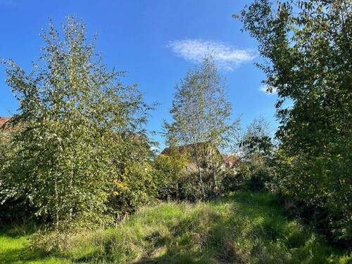 Ansicht von Nordwest (2) - 