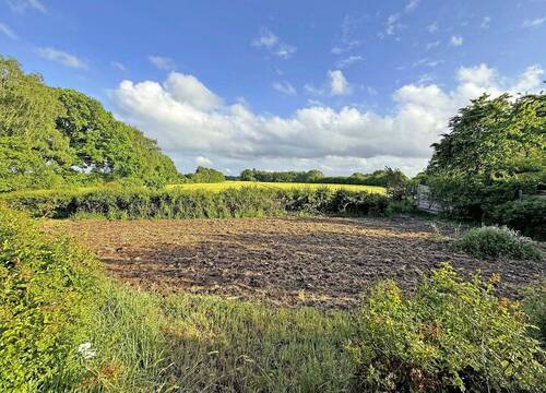 Blick von der Terrasse - 