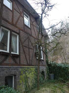 Seitenansicht rechts - 