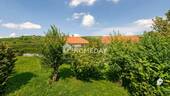 Ausblick - 