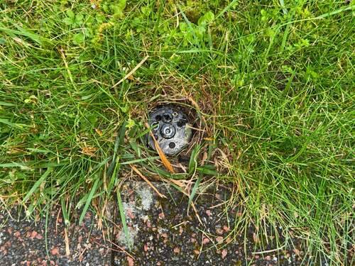 Gartenbewässerung - 