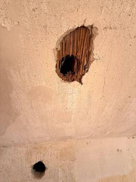 OG Probe vom Gutachten - 