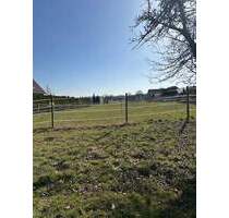 Großzügiges Grundstück in Harste - Bovenden