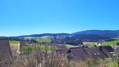 Ausblick - 