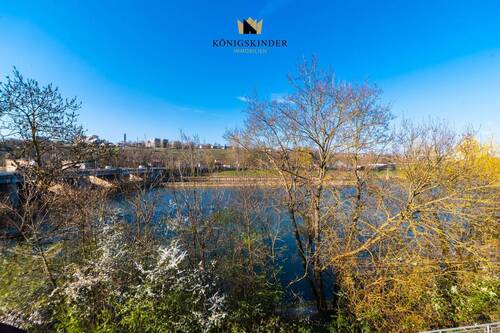 Ausblick auf den Neckar - 