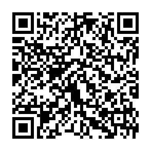 QR-Code - 