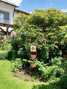 Bild 13 - 