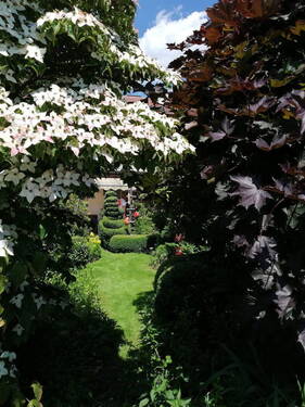 Bild 15 - 