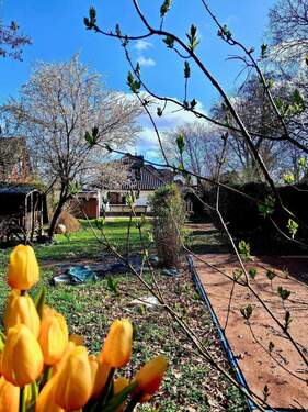 herrliches Grundstück - 