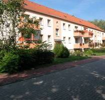 2-Raum-Wohnung im Erdgeschoss *Zuhause im Geiseltal* - Braunsbedra