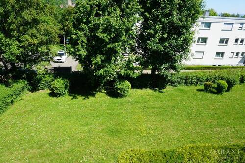 Gemeinschaftsgarten - 