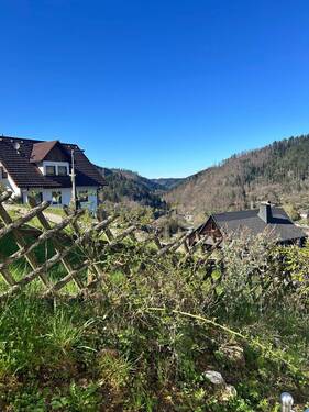 Blick aus dem Wohnzimmer - 