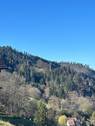 Blick auf die Burg Falkenstein - 