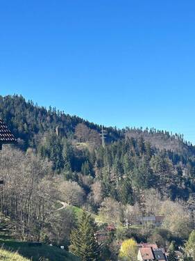 Blick auf die Burg Falkenstein - 
