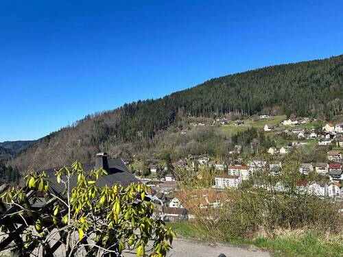 herrliche Aussichtslage - Mehrfamilienhaus, Wohnhaus mit 136,00 m&sup2; in Schramberg zum Kaufen