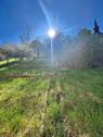 sonniger Garten - 