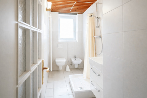 Tageslichtbadezimmer - 