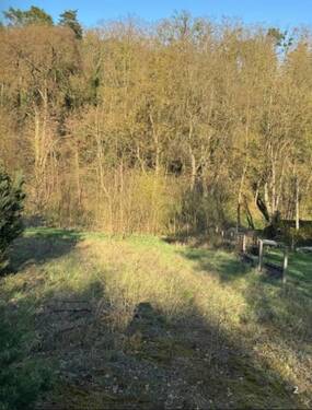 Ansicht - Grundstück zum Kaufen in Liepe