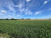 Ausblick - 