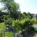 Eingang gr. Garten hintere DHH - 3 Zimmer Doppelhaushälfte in Fehmarn (Petersdorf)