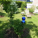 gr. Garten / hintere DHH - 