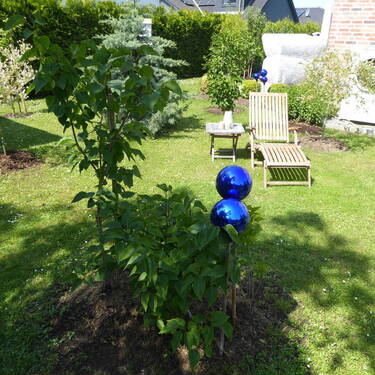 gr. Garten / hintere DHH - 