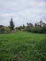 Garten - 7 Zimmer Einfamilienhaus zur Miete in Philippsburg/Rheinsheim