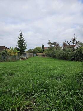 Garten - 7 Zimmer Einfamilienhaus zur Miete in Philippsburg/Rheinsheim