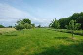 Der eigene Obstgarten - 