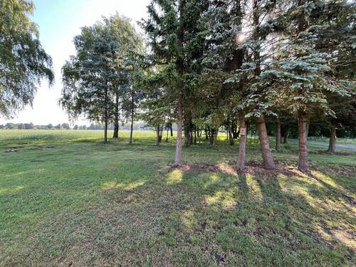 Garten mit Baumbestand - 