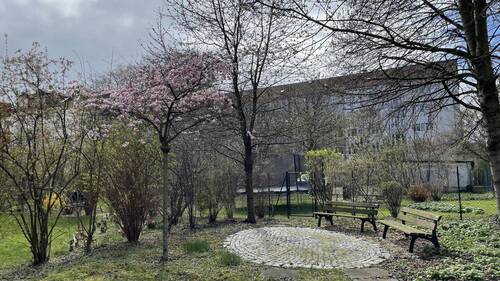 Garten - 3 Zimmer Etagenwohnung zum Kaufen in Dresden