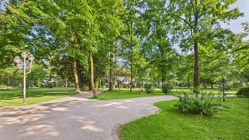 environment - 
