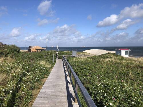 Weg zum Meer im Sommer - 