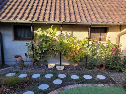 Garten: 2 Weinstöcke - Mehrfamilienhaus, Wohnhaus mit 310,50 m² in Cottbus zum Kaufen