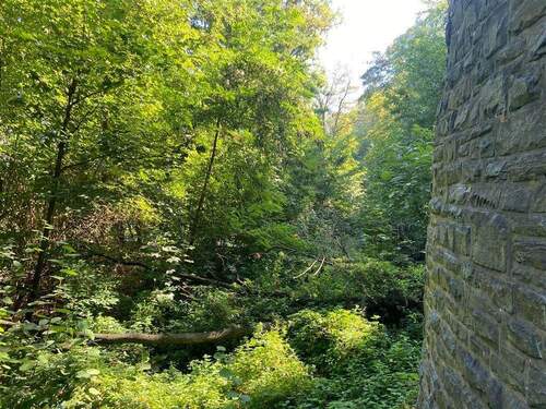 7 Blick seitlich Böschungsbereich Mühlenteich-Bach - 