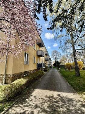 Hausansicht - Frei zum März 2026! Charmante 3-Zimmer-Hochparterrewohnung in familienfreundlicher Lage