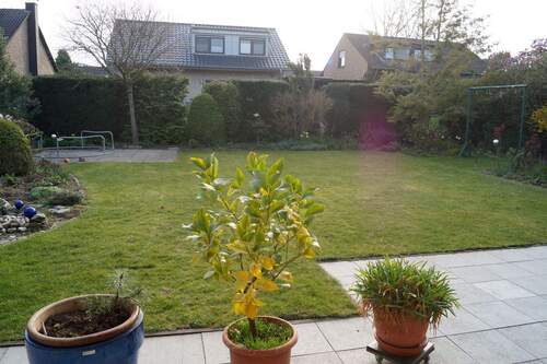 Garten - Einfamilienhaus mit 151,90 m² in Grevenbroich zur Miete