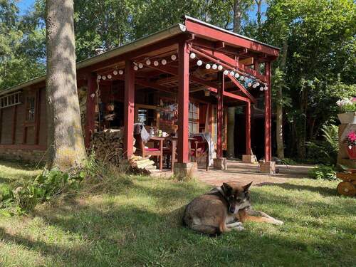 Überdachte Terrasse - Grundstück in Dranske