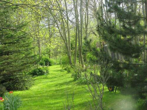 Parkähnliches Gelände - 