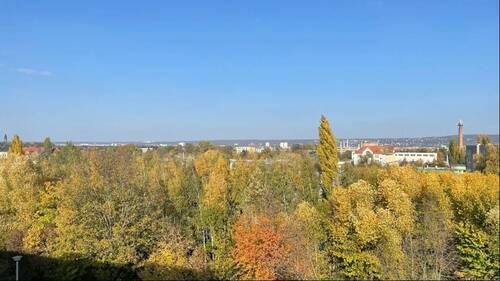 Ausblick ins Grüne - 