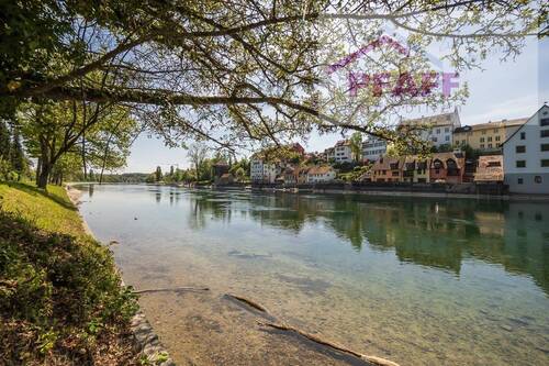 Rhein 3 - 