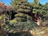 Haus-Grundstück 19.JPG - 