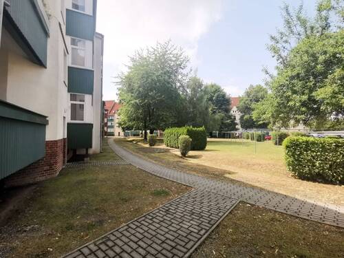 Hinterhof - 