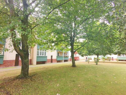 Hinterhof - 