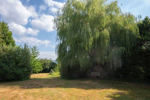 Gartenimpression - 