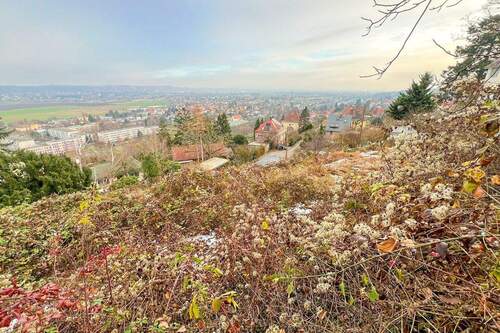 Aussicht - Grundstück zum Kaufen in Dresden