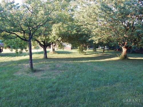 Grundstück - Traumhaftes Grundstück in exzellenter Lage mit großzügigem Gartenparadies