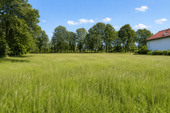 Aussicht - Nähe Bth., Fantastischer Blick ins Grüne, ideale Kombination zwischen Natur und Infrastruktur