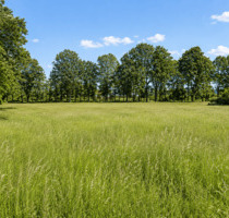 Nähe Bth., Fantastischer Blick ins Grüne, ideale Kombination zwischen Natur und Infrastruktur - Goldkronach Pöllersdorf